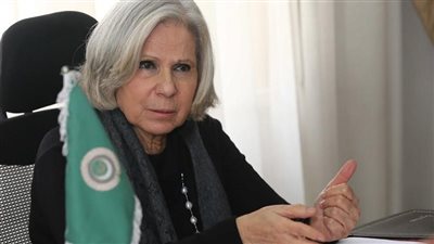 هيفاء أبو غزالة تتحدث حول القمم المناخية التي تستضيفها الدول العربية