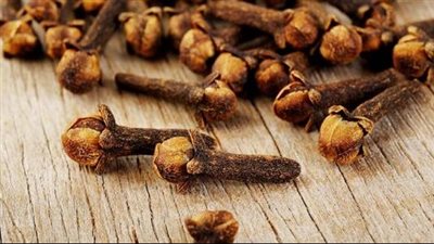 فوائد القرنفل للأسنان واللثة.. يسكن الألم ويمنع العدوى لهذا السبب