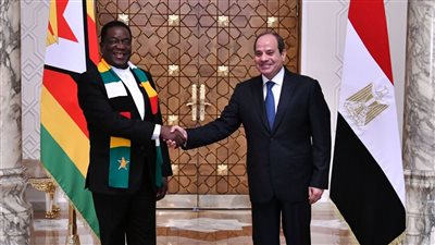 برلمانيون: الدولة المصرية لم تتوقف عن مد جسور التعاون من دول إفريقيا