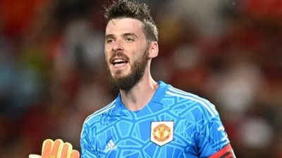  تقارير صحفية إسبانية: ديفيد دي خيا أصبح قريبًا من العودة إلى أجواء الدوري الإسباني 