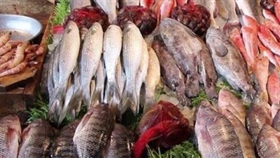 أسعار الأسماك والجمبري اليوم الأربعاء 15_ 11_ 2023