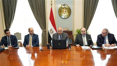 سامح شكري يشارك في اجتماع مجلس السلم والأمن الأفريقي حول السودان