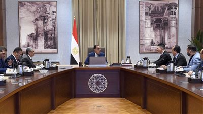 رئيس الوزراء يلتقي رئيس شركة 