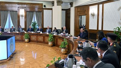 مصر.. مدبولي يتابع الموقف التنفيذي لمشروعات المبادرة الرئاسية 