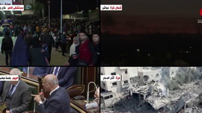 باحث سياسي: الرئيس السيسي عبر مرارًا وتكرارًا عن رفضه التام لفكرة التهجير القسري لفلسطين (فيديو)