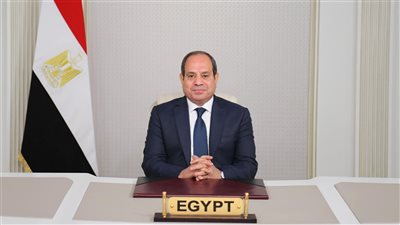 السيسي أمام قمة العشرين: لا نملك رفاهية تأجيل مواجهة أزمات العالم