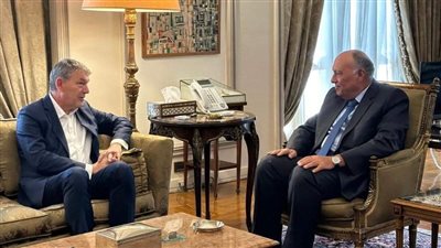 وزير الخارجية يلتقي المفوض العام لوكالة الأونروا في القاهرة