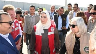 مساعدات إنسانية من وزراء الصحة والشؤون الاجتماعية العرب إلى قطاع غزة