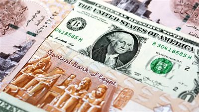سعر الدولار في البنك المركزي المصري اليوم السبت 25_ 11_ 2023