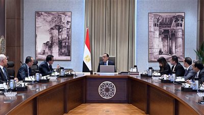 مصر.. مدبولي يستعرض مقترحا لحزمة الحوافز الاستثمارية لقطاع الرعاية الصحية داخل الجمهورية