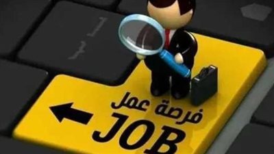  الوظائف الشاغرة التي تعلنها وزارة الشباب والرياضة.. والتخصصات المطلوبة