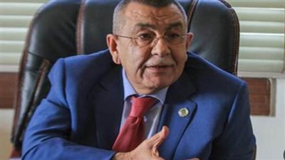 الجامعة العربية: القضية الفلسطينية هي القضية المركزية للعرب وعلى رأس الأولويات 