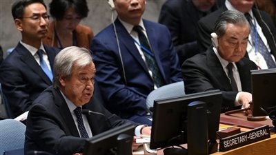  الأمم المتحدة تحيي اليوم الدولي للتضامن مع الشعب الفلسطيني