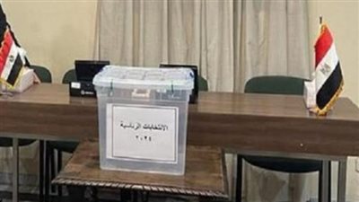 انتخابات الرئاسة المصرية.. ما هي خطوات التصويت الصحيحة في الخارج؟