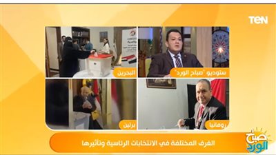 برلماني: مصر تشهد تطورًا ديمقراطيًا حقيقيًا في العملية السياسية (فيديو)