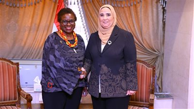 مباحثات مصرية أممية لزيادة الإغاثة المقدمة للأسر الفلسطينية 