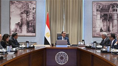 مصر.. مدبولي يستعرض مشروعا لإنتاج الأمونيا الخضراء باستثمارات تقترب من مليار دولار