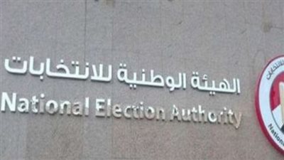  خاصة بالنتائج.. ما هي أبرز التوجيهات الصادرة من الهيئة الوطنية للانتخابات للسفراء ورؤساء اللجان بالخارج؟