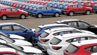 برلماني يتحدث عن مبادرة السيارات التي تمت في الخارج الفترة الماضية