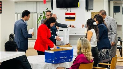 الانتخابات الرئاسية المصرية 2024.. التقرير الأولي لمرحلة تصويت المصريين بالخارج