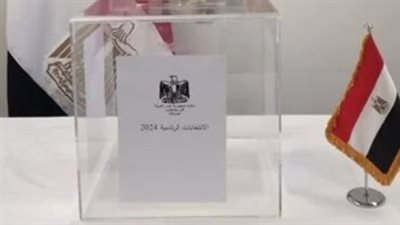 هل يمكن تغيير لجنة الانتخابات الرئاسية 2024؟