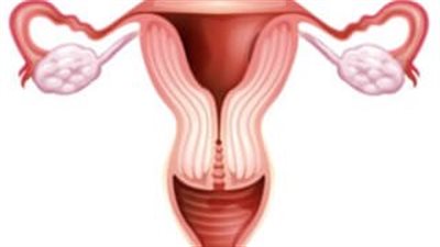 ما هو علاج التهاب فالوب؟.. الاهمال قد يؤدى للعقم