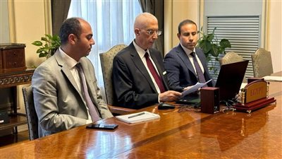 مصر تشارك في المؤتمر الافتراضي لمتابعة نتائج مؤتمر باريس حول الأوضاع الإنسانية في قطاع غزة