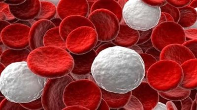 كُريَّات الدَّم.. ما دورها وأهميتها في الجسم؟