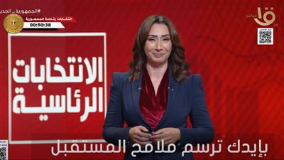  تفاصيل اللجان الفرعية والرئيسية للانتخابات الرئاسية بالمحافظات (فيديو)