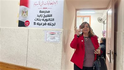 الرئيس التنفيذي لصندوق 