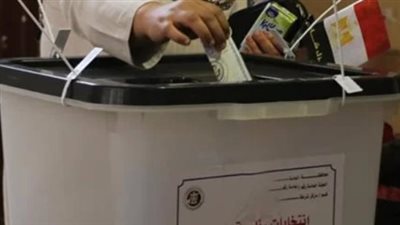 خطوات الاستعلام عن لجان الوافدين فى الانتخابات الرئاسية المصرية 