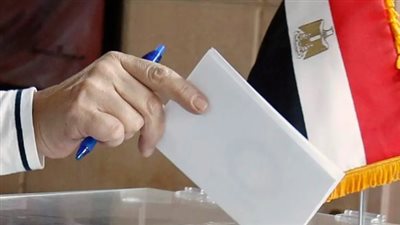  أستاذ علوم سياسية بجامعة القاهرة يعلق على المشهد الانتخابي