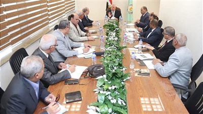 وزير الزراعة يتابع مع قيادات الوزارة زراعة القمح ويوجه بالحصر الدقيق للمساحات المنزرعة 