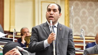 برلماني مصري: الإقبال في اليوم الأول للانتخابات الرئاسية فاق التوقعات