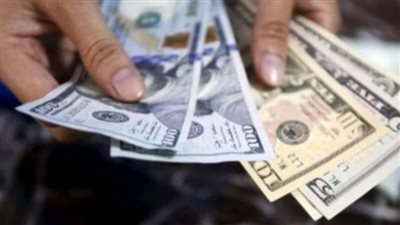 سعر الدولار في البنك المركزي المصري اليوم 19_ 12_ 2023