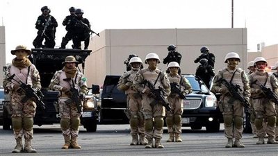 السعودية.. إحباط تهريب 120 كيلوجرامًا من نبات القات المخدر بعسير