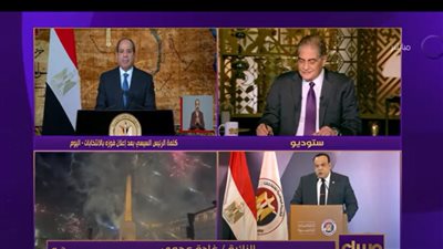 غادة عجمي: معا نحو سنوات الحصاد 6 سنوات جديدة للرئيس أتمنى له التوفيق (فيديو)