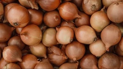  رغم فوائده المتعددة.. احذر أضرار البصل