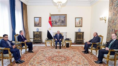 الرئيس السيسي يناقش مع وزير الخارجية البريطانية جهود وقف الصراع في غزة