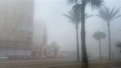 الحالة الجوية والطقس خلال الفترة المقبلة في مصر (فيديو)