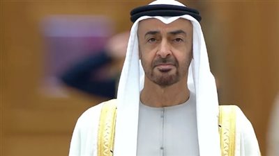 وصايا محمد بن زايد لـ بلينكن لوقف حرب الإبادة في غزة (فيديوجراف)