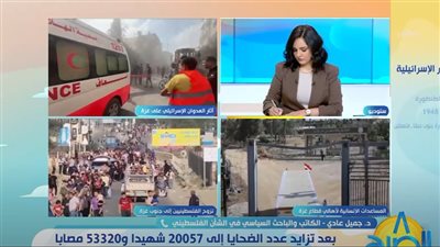 باحث سياسي: يوجد إصرار وامعان في العدوان على الشعب الفلسطيني من قبل الجنود الإسرائيليين (فيديو)