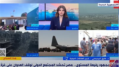  البرديسي: جهود مصر مستمرة بكافة المسارات لتحقيق التسوية السياسية النهائية للقضية الفلسطينية (فيديو)