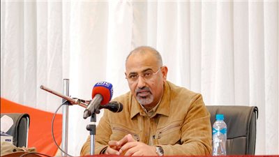 الزُبيدي: السلام مرهون بقضية الجنوب.. ورؤية المبعوث الأممي لن يُكتب لها النجاح