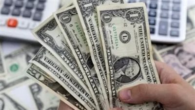 خبير تكنولوجيا معلومات يتوجه بعدة نصائح لرواد الأعمال: «دراسة جيدة للفكرة والسوق أساس النجاح»