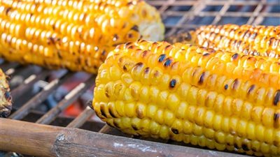 أكلات الشتاء الشعبية.. 5 أطعمة أبرزها البطاطا والذرة المشوية