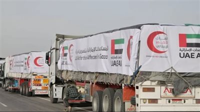 منذ اندلاع التصعيد في غزة.. جهود إنسانية ودبلوماسية تجسد مواقف إماراتية أخوية صادقة لدعم فلسطين