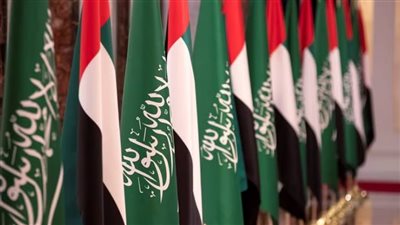 السعودية والإمارات ينضمان رسميًا إلى البريكس.. ماذا يعني ذلك بالنسبة للكتلة؟