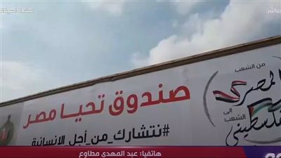 محلل سياسي: الدور المصرى لم يتوقف فى دعم القضية الفلسطينية (فيديو)