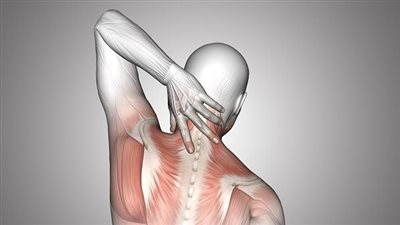 متى يكون ألم الرقبة خطير؟.. احذر 4 أمراض خطيرة